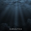 Subnautica - Helicase