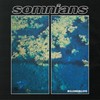 Millenniallove - Somnians