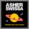 Where Are You Going (Skazi Remix) - Asher Swissa&Skazi