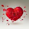 Heart Shaker - John Tomaino