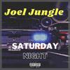 Saturday Night (The Vibes) (Explicit) - Joel Jungle
