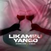 Likambo yango (feat. Toutjeune D'afrik) - DJ Renaldo&Toutjeune D'afrik