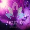Swampy Junky (Original Mix) - Weirdbass&Brainjam