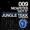 Got It (Original Mix) - Nic&Peter