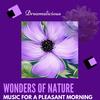 Divine Ocean Of Healing (Original Mix) - Divine KaHiL