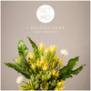 I Belong Here (Extended Mix) - Set Mo&Woodes&Paul Brandoli&Elle Graham&Stuart Turner&Nicholas Drabble