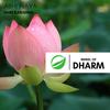 Hare Karishna (Original Mix) - Abhi Naya