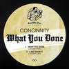 I Just Want It (Original Mix) - concinnity