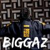 Biggaz - R.Peels