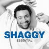 In The Summertime - Shaggy&Rayvon