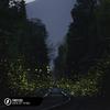 Fireflies - Benlon&Pop Mage&Adam Young