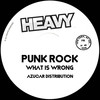 What is Wrong - Punk Rock&2022 Wojcik Rafal