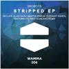 Stripped (Original Mix) - 2 Robots