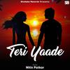 Teri Yaade - Nitin Patkar