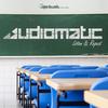 Listen & Repeat - Audiomatic&Unseen Dimensions