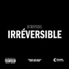 Irréversible (Explicit) - SyseN