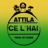 Ce l'hai (Explicit) - Attila&Guirie