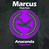 Anaconda (Original Mix) - Marcus From Paris