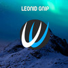 Way In New Reality - Leonid Gnip