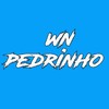 Envolvido - Wndo48&Pedrinho