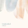 Undecided - Fellydee