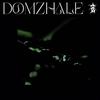 DOMZHALE (feat. Kai Virtual & Dansky) (Explicit) - Minnite&Kai Virtual&Dansky