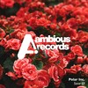 Sanie (Original Mix) - Polar Inc.