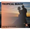 Enjoy The Tropicano (Original Mix) - Diamond VX