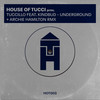 Underground (Archie Hamilton's Frequency Dub) - Tuccillo&Kindbud&Archie Hamilton