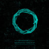 Nourishing Souls - Invadhertz&LaMeduza