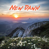 New Dawn - Hayai