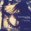 Grey Sun (Instrumental Version) - David Divine