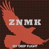 My Deep Flight (Original Mix) - Rousing House