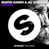 Wizard (Radio Edit) - Martin Garrix&Jay Hardway