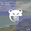 Irish Cream (Original Mix) - Tony Gribsun