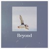 Beyond - Steven McDonald