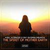 The Spirit Of Mother Earth (feat. Ekaterina Shelehova) - Aviell&Alternoize Dj&Ekaterina Shelehova