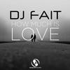 How Much Is Love (Hands up Edit) - DJ Fait