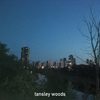 Toothepaste Towers - Tansley Woods