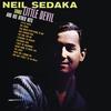 One Way Ticket (To the Blues) - Neil Sedaka