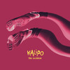 The Accident - Kalipo&Jakob Häglsperger