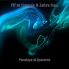Numa Lin Ca Banii Vin - Zebra Rec.&Pif Et Hercule