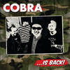 Hero - Cobra