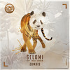 Zombis (Instrumental Mix) - Selomi&Abdul Kharim