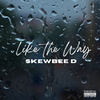 Like The Way (Explicit) - Skewbee D