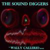 Gotta Get Down - The Sound Diggers