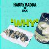 Why(feat. Exx) - Harry Badda&ëXX