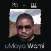 uMoya Wami - Soul Star&2Point1