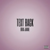 Text Back (Explicit) - Bria Jhane