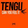 Can You Feel It - Tengu